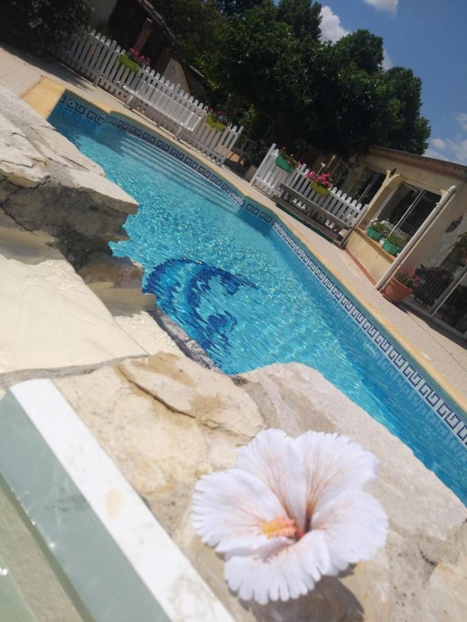 Апартаменти Gite T2 Avec Grande Piscine Villeneuve-la-Comptal Екстер'єр фото